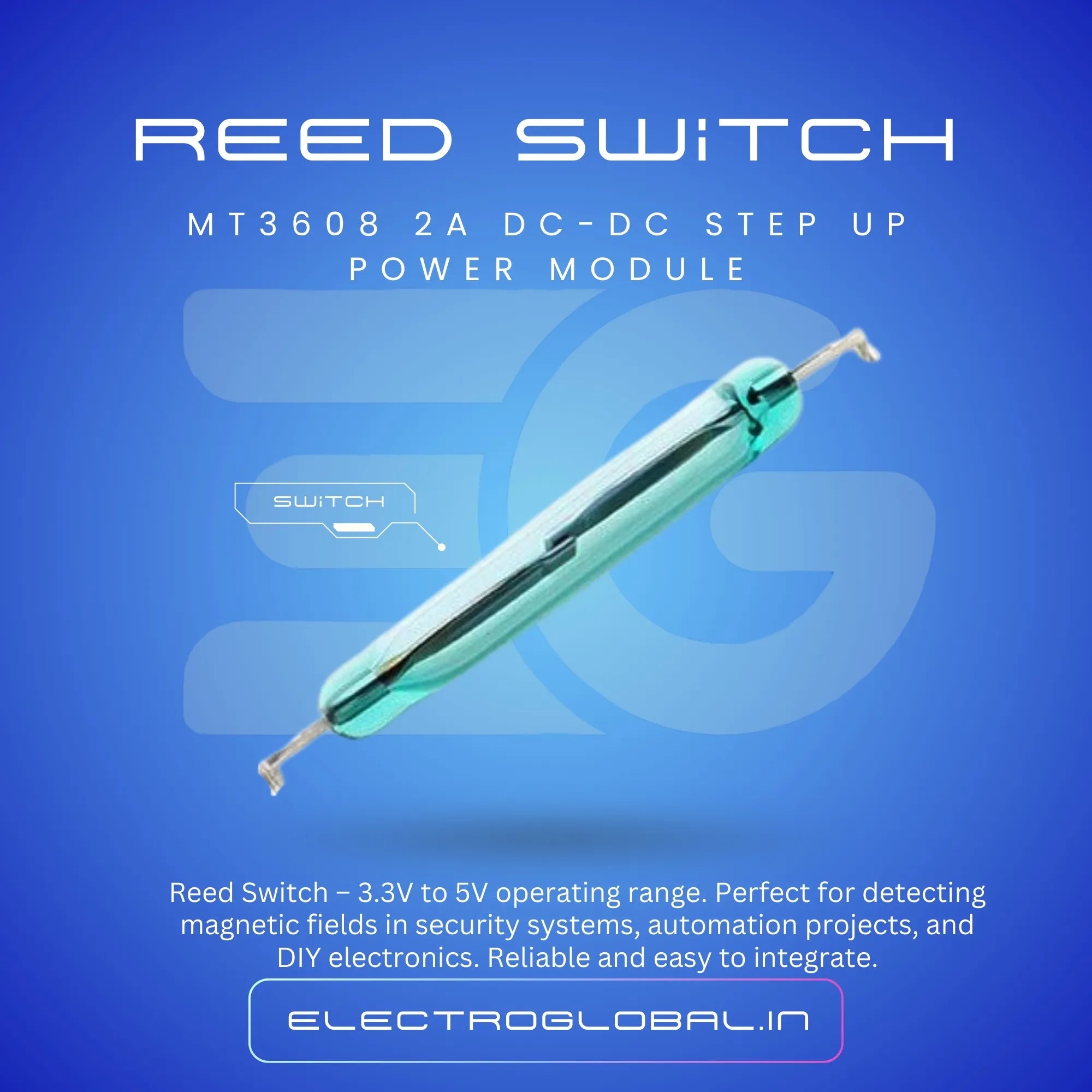 Reed Switch