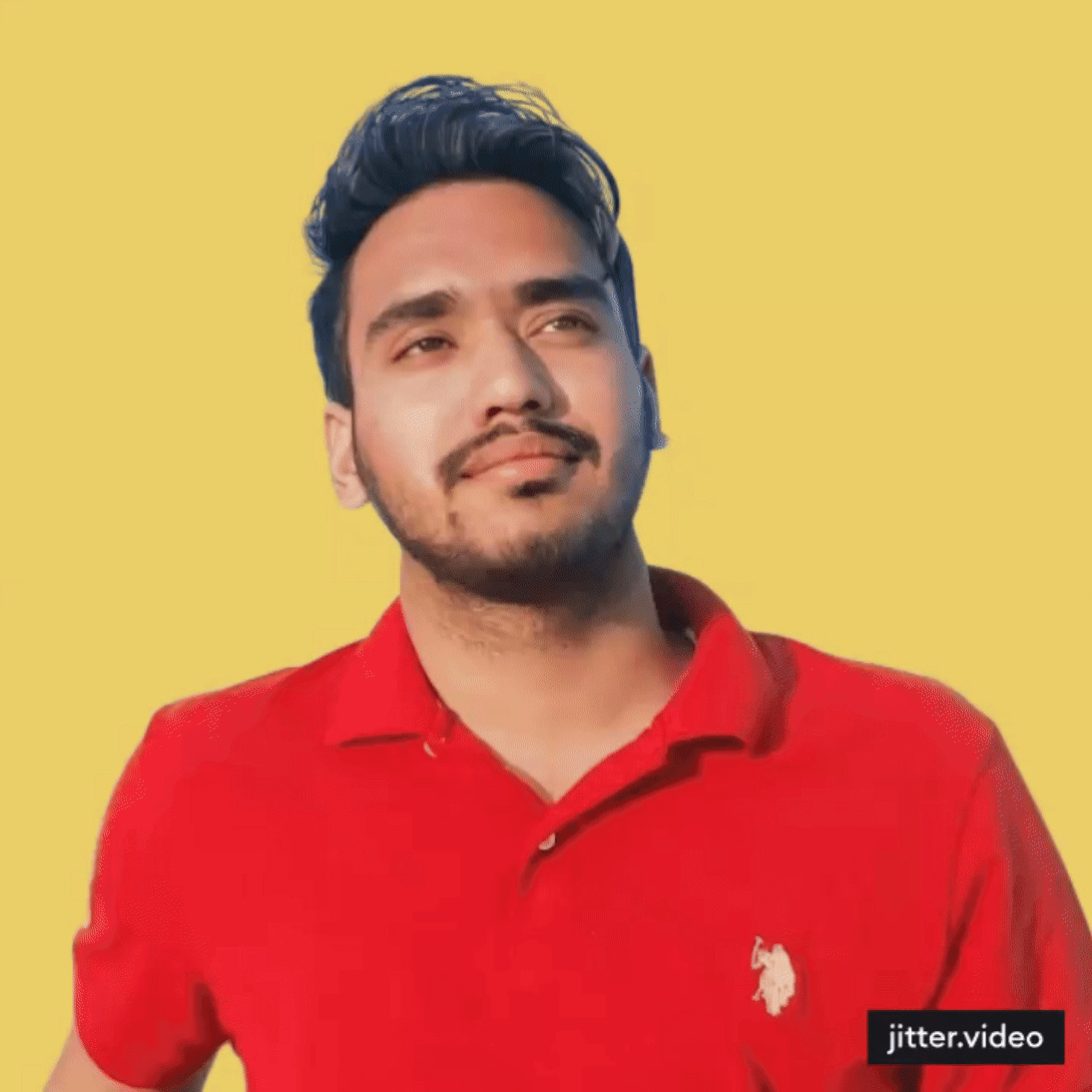 dp gif 0000